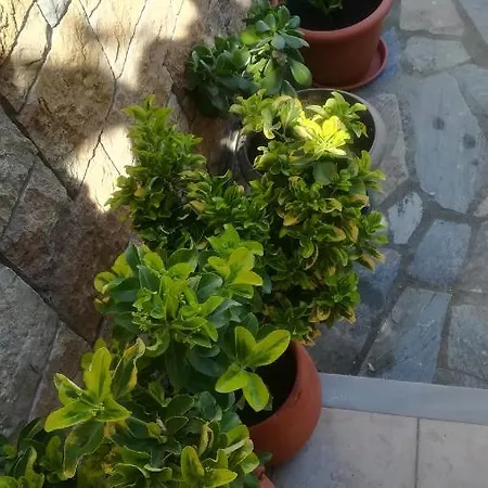 Paressa's House Apartman