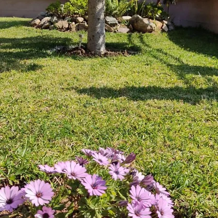 Paressa's House Νικήτη