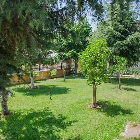 Апартаменты Paressa's House Никити