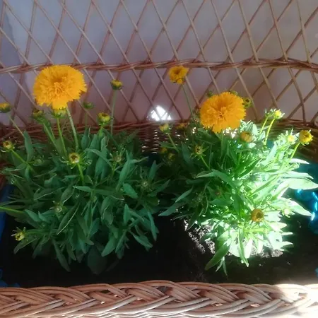 아파트 Paressa's House